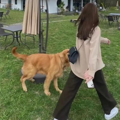 护士的征婚