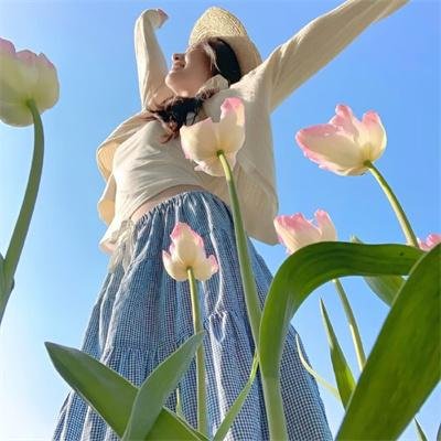 铁甲小宝